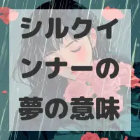シルクインナーの夢のサムネイル画像