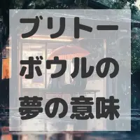 ブリトーボウルの夢のサムネイル画像