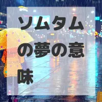 ソムタムの夢のサムネイル画像