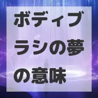 ボディブラシの夢のサムネイル画像