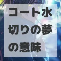 コート水切りの夢のサムネイル画像