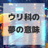 ウリ科の夢のサムネイル画像