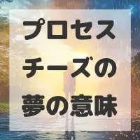 プロセスチーズの夢のサムネイル