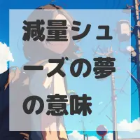 減量シューズの夢のサムネイル画像