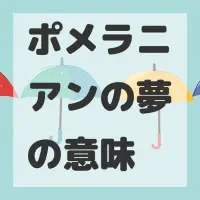 ポメラニアンの夢のサムネイル画像