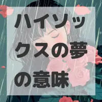 ハイソックスの夢のサムネイル画像