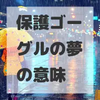 保護ゴーグルの夢のサムネイル画像