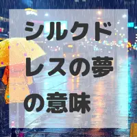 シルクドレスの夢のサムネイル画像