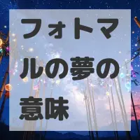 フォトマルの夢のサムネイル画像