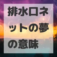 排水口ネットの夢のサムネイル画像