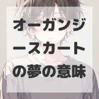 オーガンジースカートの夢のサムネイル画像