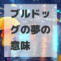 ブルドッグの夢のサムネイル画像