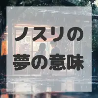 ノスリの夢のサムネイル画像