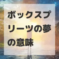 ボックスプリーツの夢のサムネイル