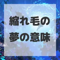 縮れ毛の夢のサムネイル