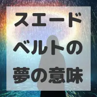 スエードベルトの夢のサムネイル画像