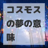 コスモスの夢のサムネイル画像