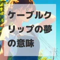 ケーブルクリップの夢のサムネイル画像