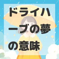 ドライハーブの夢のサムネイル画像