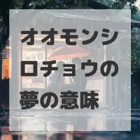 オオモンシロチョウの夢のサムネイル画像