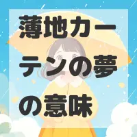 薄地カーテンの夢のサムネイル