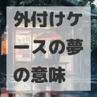 外付けケースの夢のサムネイル画像