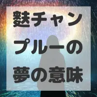 麩チャンプルーの夢のサムネイル画像
