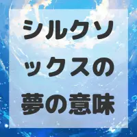 シルクソックスの夢のサムネイル画像