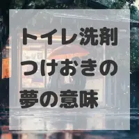 トイレ洗剤つけおきの夢のサムネイル画像