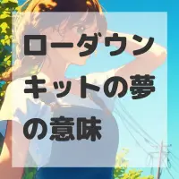 ローダウンキットの夢のサムネイル画像