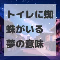 トイレに蜘蛛がいる夢のサムネイル画像