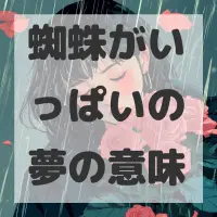 蜘蛛がいっぱいの夢のサムネイル画像