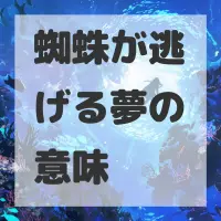 蜘蛛が逃げる夢のサムネイル画像