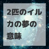 2匹のイルカの夢のサムネイル画像