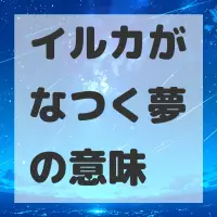 イルカがなつく夢のサムネイル画像