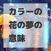 カラーの花の夢のサムネイル画像