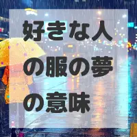 好きな人の服の夢のサムネイル画像