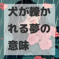 犬が轢かれる夢のサムネイル画像