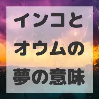 インコとオウムの夢のサムネイル画像