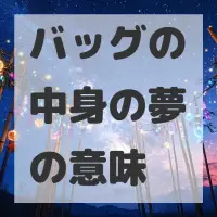 バッグの中身の夢のサムネイル画像