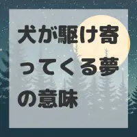 犬が駆け寄ってくる夢のサムネイル画像