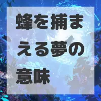 蜂を捕まえる夢のサムネイル画像