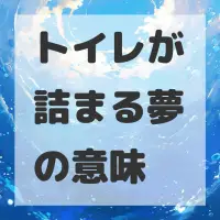 トイレが詰まる夢のサムネイル画像