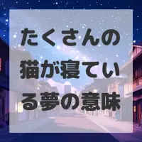 たくさんの猫が寝ている夢のサムネイル画像