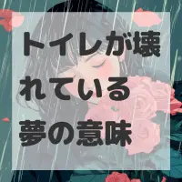 トイレが壊れている夢のサムネイル画像