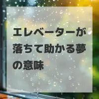 エレベーターが落ちて助かる夢のサムネイル画像