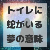 トイレに蛇がいる夢のサムネイル画像