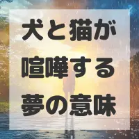 犬と猫が喧嘩する夢のサムネイル画像