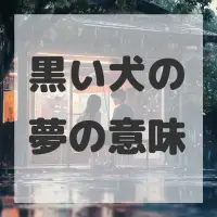 黒い犬の夢のサムネイル画像