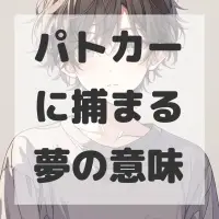 パトカーに捕まる夢のサムネイル画像